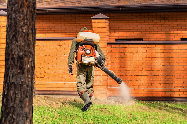 Trusted Mosquito Control service in Combined Locks, WI - Nex Pest Control